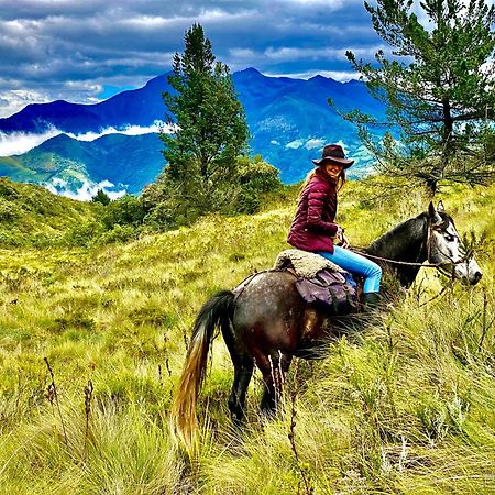 فندق Hacienda La Alegría المظهر الخارجي الصورة