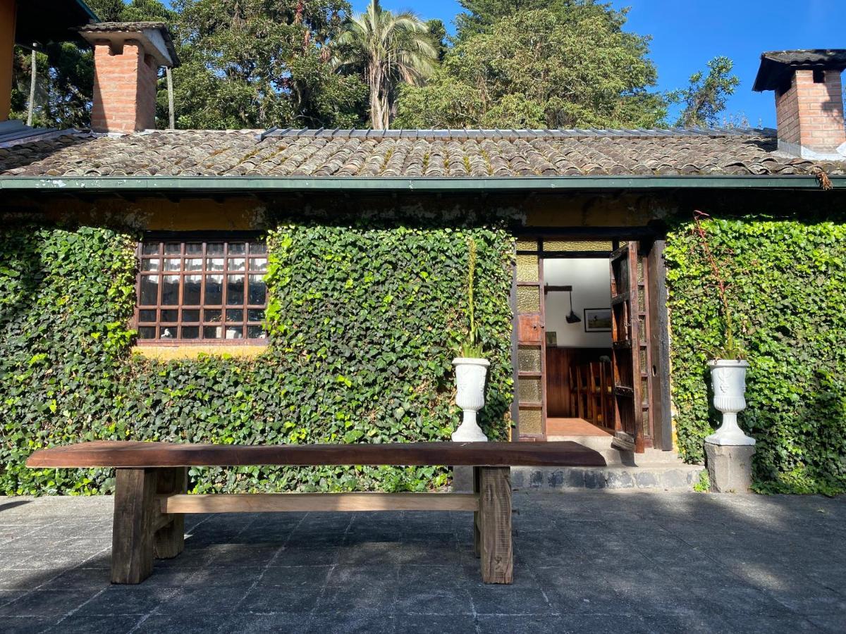 فندق Hacienda La Alegría المظهر الخارجي الصورة