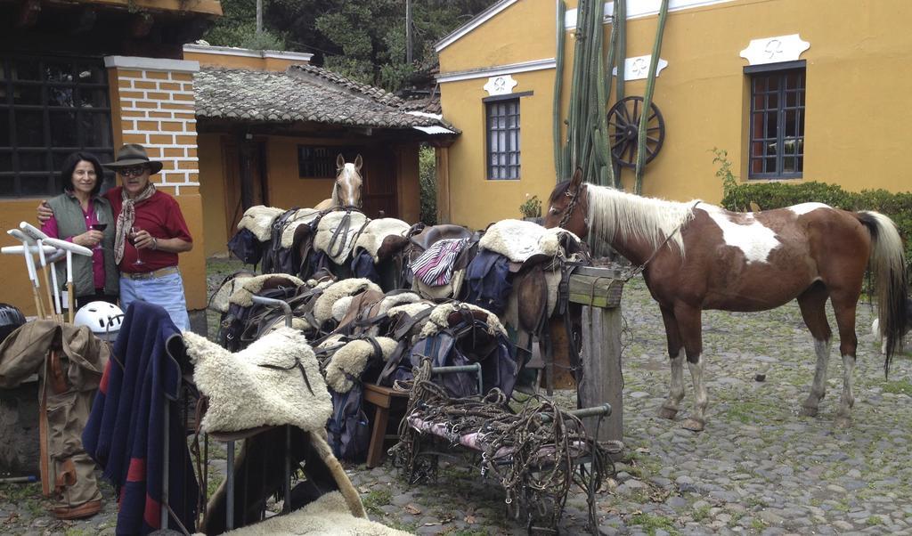 فندق Hacienda La Alegría المظهر الخارجي الصورة