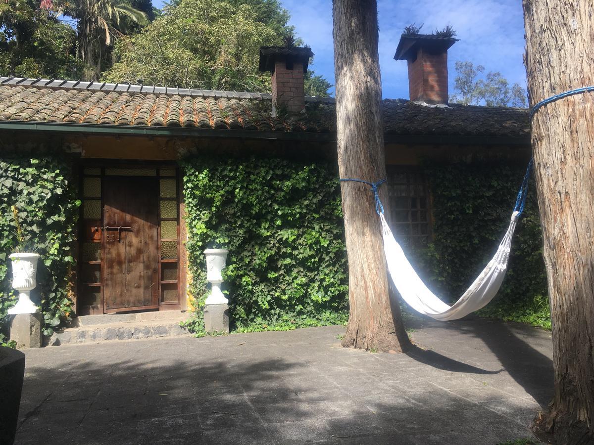 فندق Hacienda La Alegría المظهر الخارجي الصورة